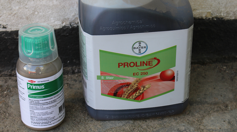 Pesticider golfbaner Græs