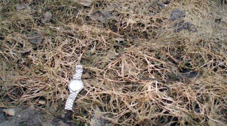 Sneskimmel græs golf