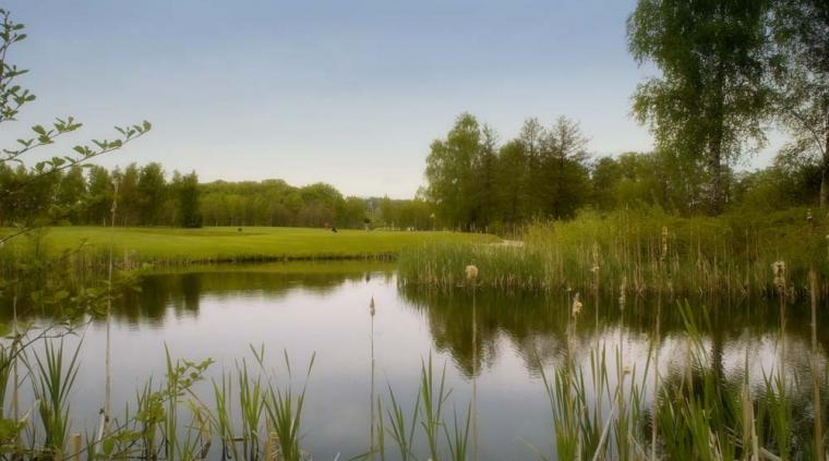 Banedrift Forskning Ukrudt Golf 