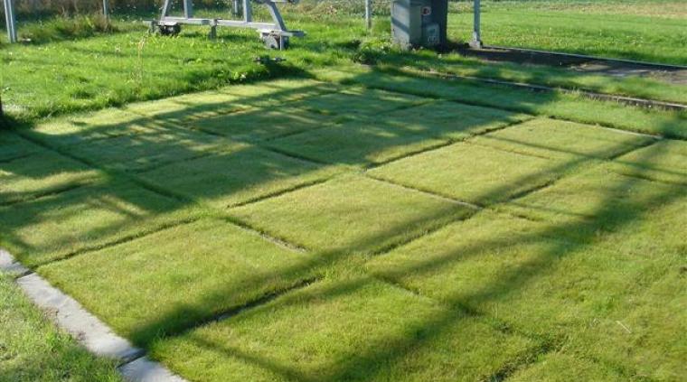 Banedrift Forskning Ukrudt Golf 