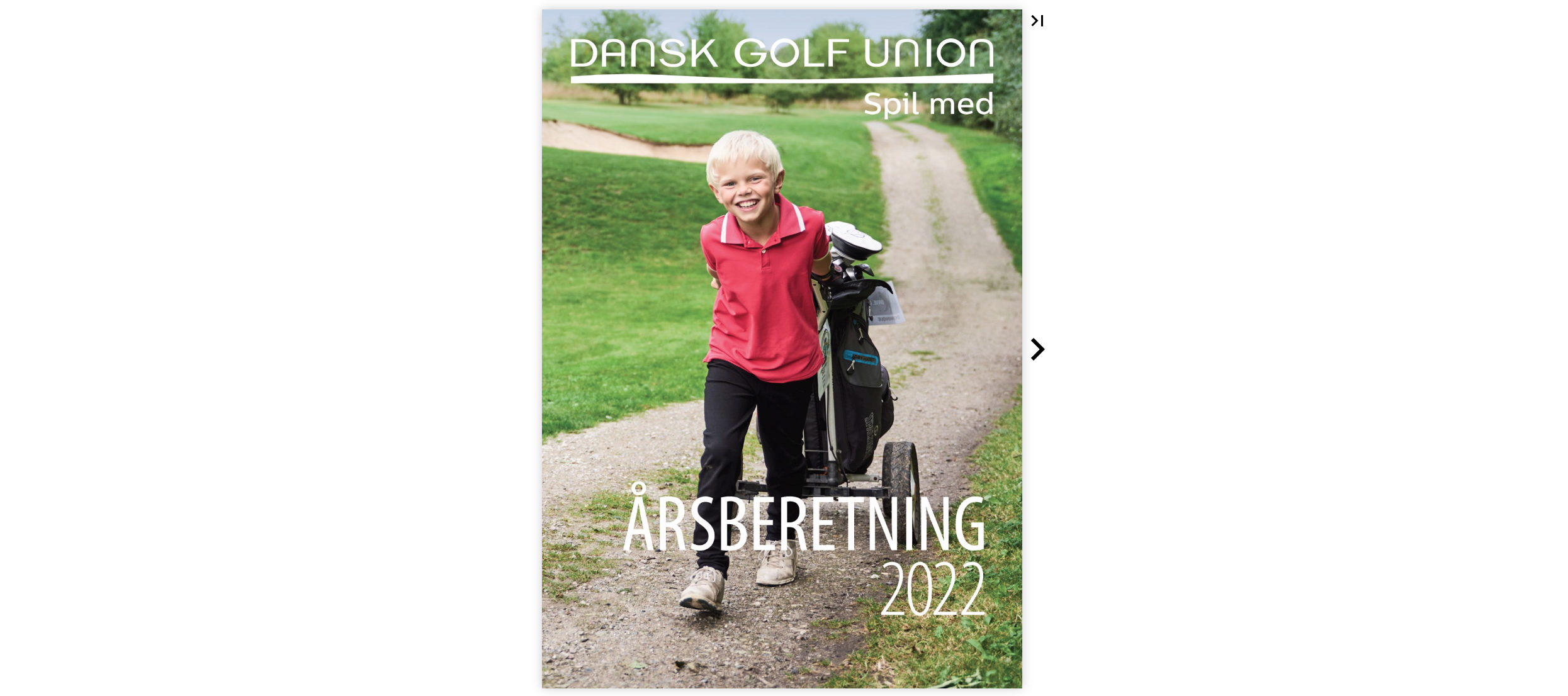 Forside årsberetning DGU