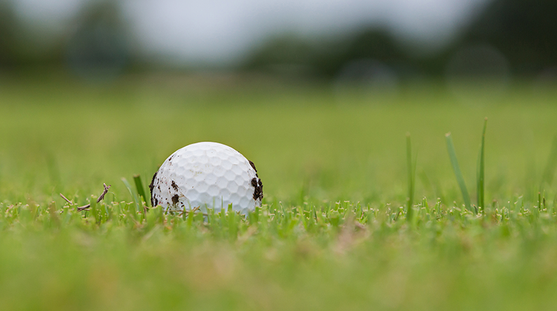 Golfbold_mudder.png