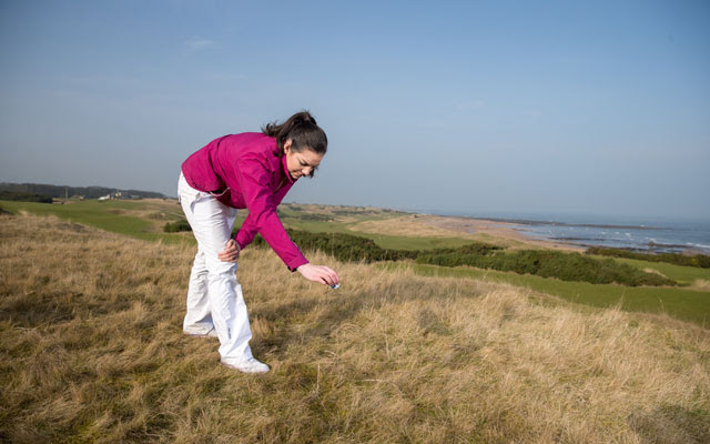 Knee-height drop.jpg