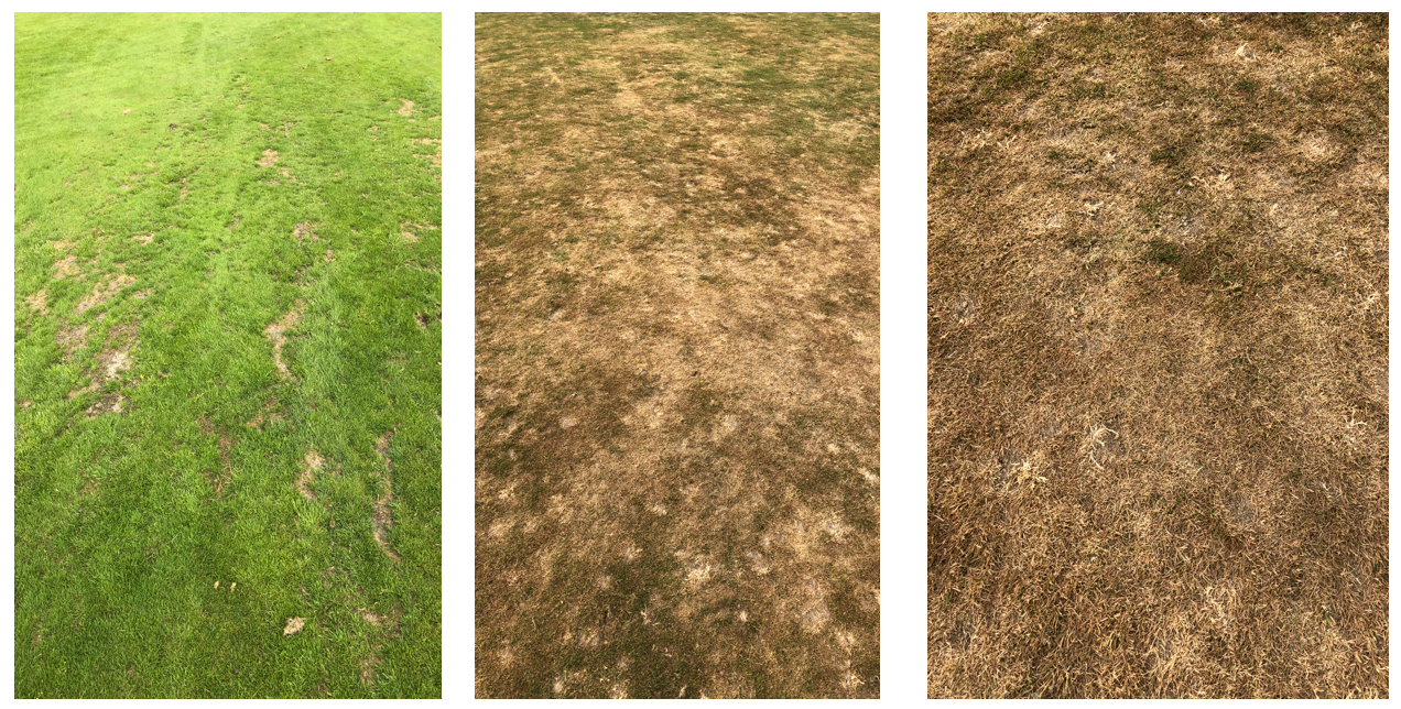 Skærmbillede 2019-04-01 kl. 13.50.34.png