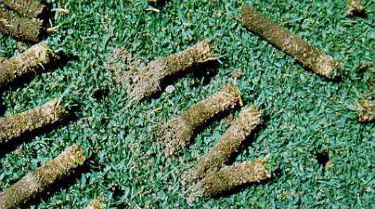 Filt propper Græs golf